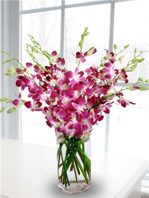 eflowerwholesale - Premium Cut Purple Orchids (20 stems with Vase) - Gift for Birthday, Spring, Easter, Graduation, Mother's Day (Support Small Business)