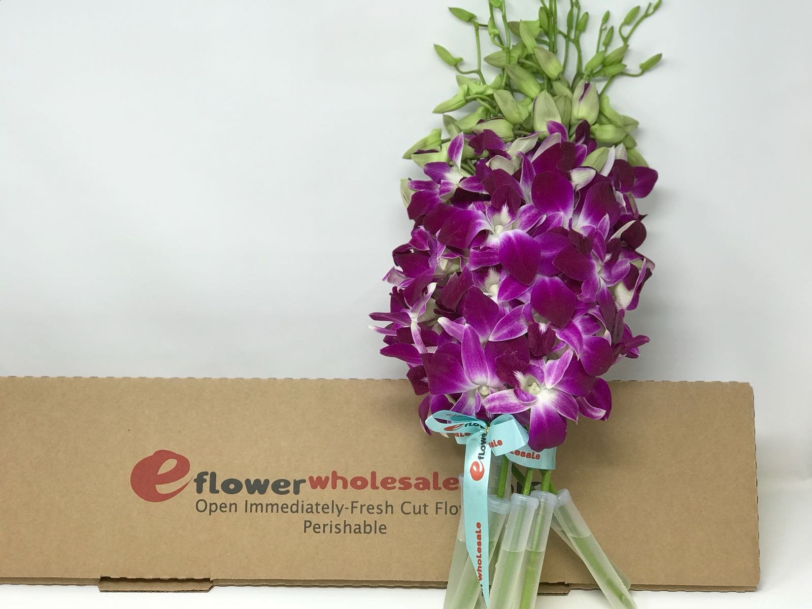 eflowerwholesale